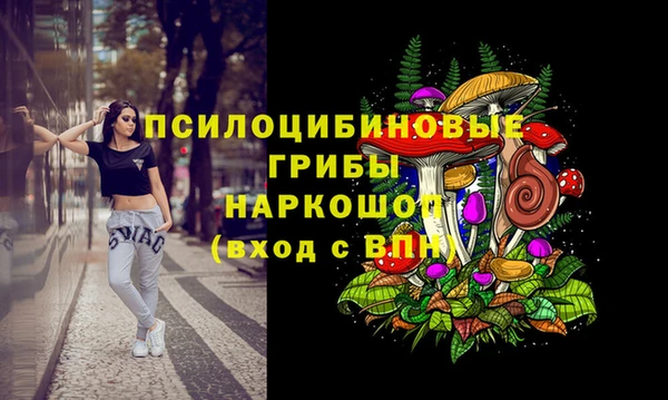 амф Заволжск